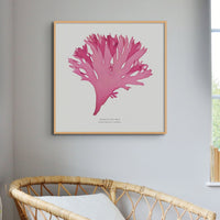 Set of Three Red Seaweed Art Prints Square - Framed Beach House Art