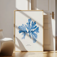 Framed seaweed art print - artwork of blue seaweed art on a white wall in a room with wooden floor and chair.