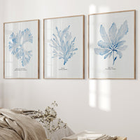 Blue Watercolour Seaweed Art Print | Beautiful Fan Weed Seaweed Painting  - Unframed