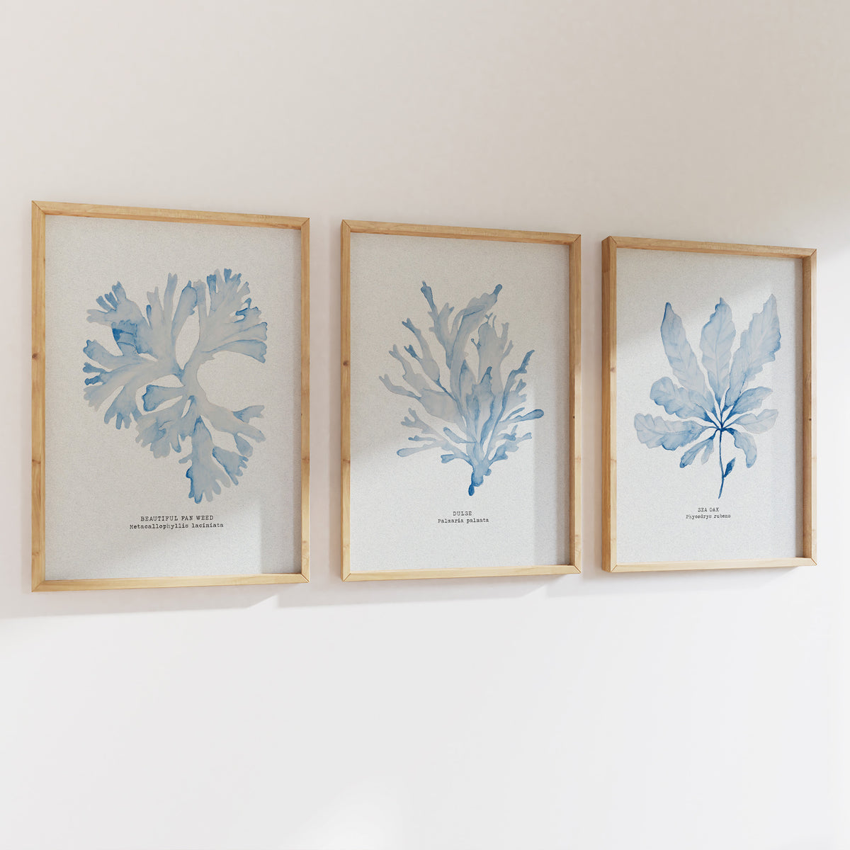 Blue Watercolour Seaweed Art Print | Beautiful Fan Weed Seaweed Painting  - Unframed