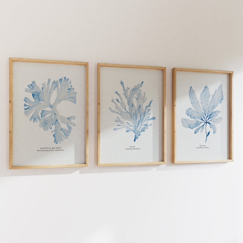 Blue Watercolour Seaweed Art Print | Beautiful Fan Weed Seaweed Painting  - Unframed