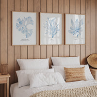 Blue Watercolour Seaweed Art Print | Beautiful Fan Weed Seaweed Painting  - Unframed