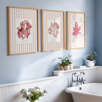 Seaweed Print | Pressed Seaweed Art on Stripe Background (Fan Weed No 1) - Unframed