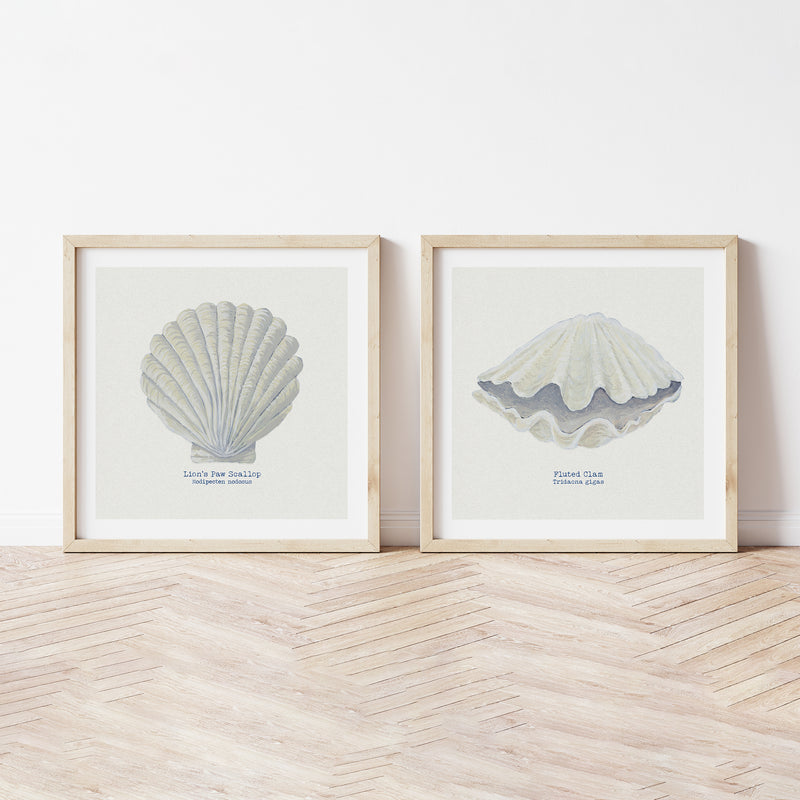 Hand-painted Scallop Shell Art Print | Natural Background - Unframed