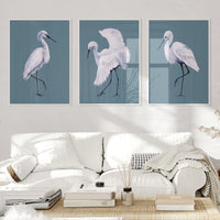 Set of Three White Egret Prints | Stone Blue | Watercolour Bird Paintings - Framed
