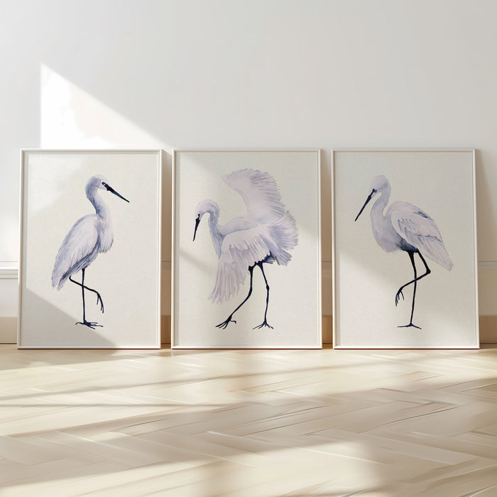 Set of Three White Egret Prints | Natural Background | Watercolour Bird Paintings -  Unframed