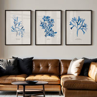 Set of three blue seaweed prints in living room. Modern living room with a brown leather sofa, coffee table, and coastal wall art.