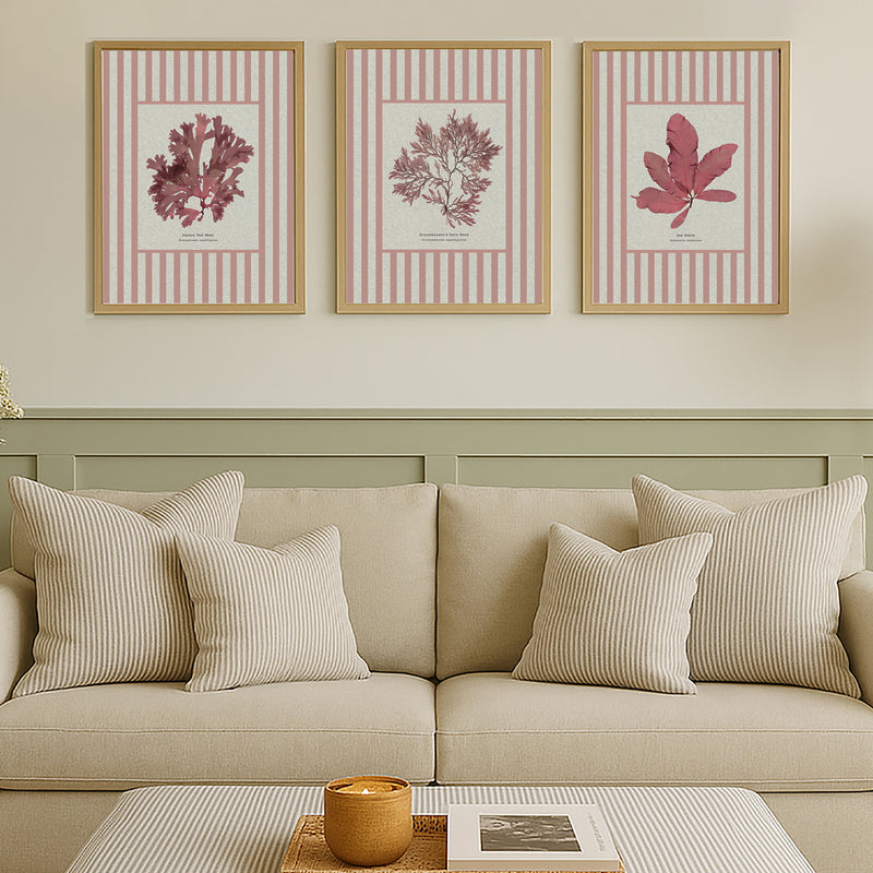 Seaweed Print | Pressed Seaweed Art on Stripe Background (Fan Weed No 1) - Unframed