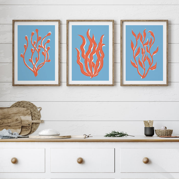 Three framed artworks of red coral on blue backgrounds hanging above a white cabinet.