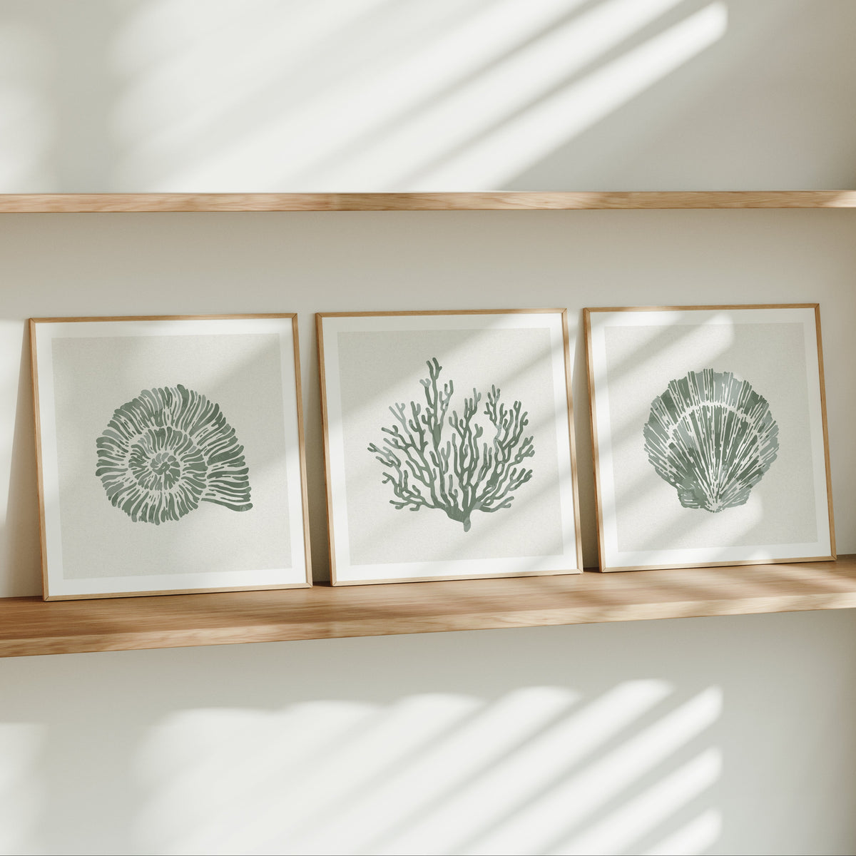 Set of 3 sage green shell and coral prints, framed coastal wall art for bathroom or  bedroom