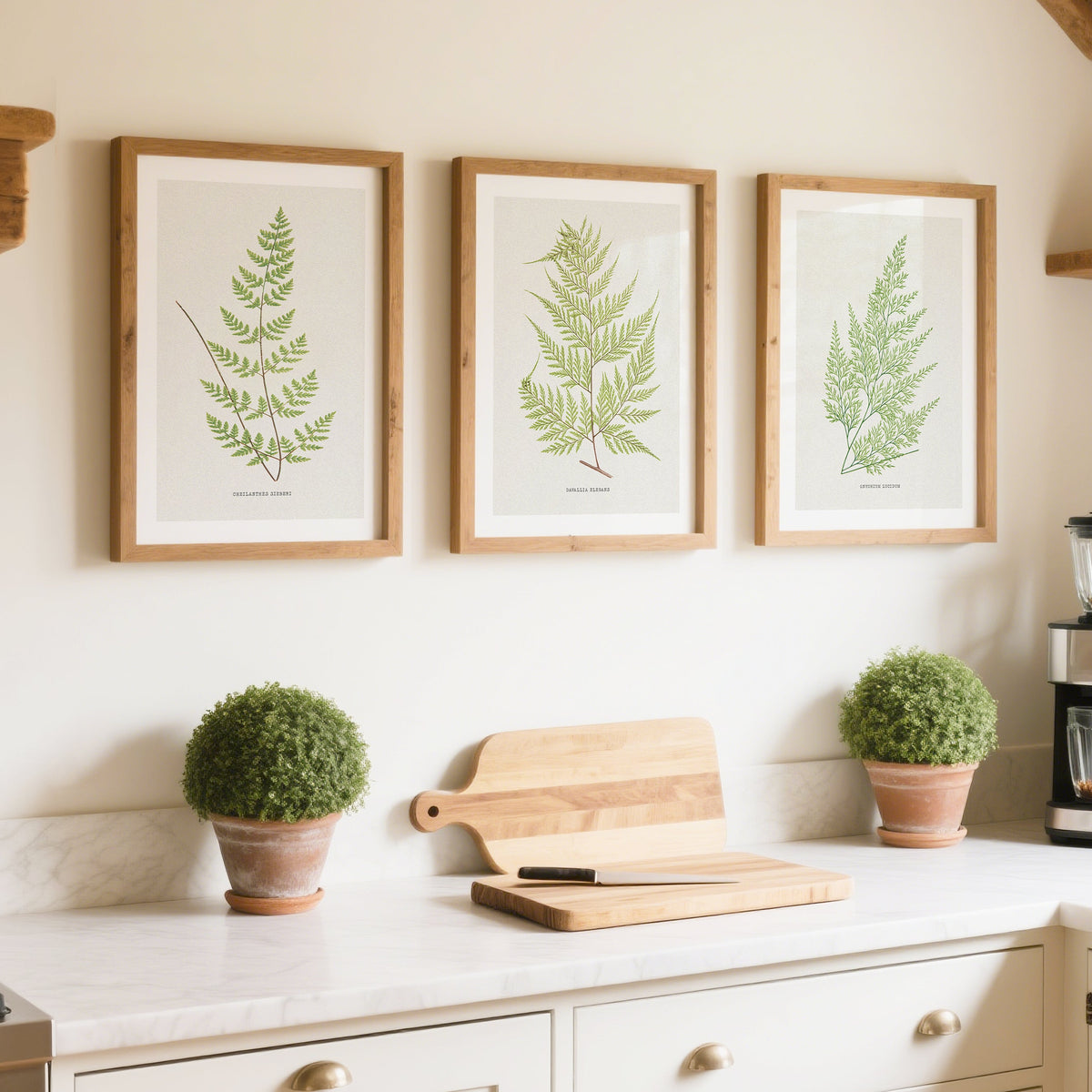 Set of 3 vintage fern art prints in kitchen. Kitchen interior with framed botanical prints, potted plants, and kitchen appliances.