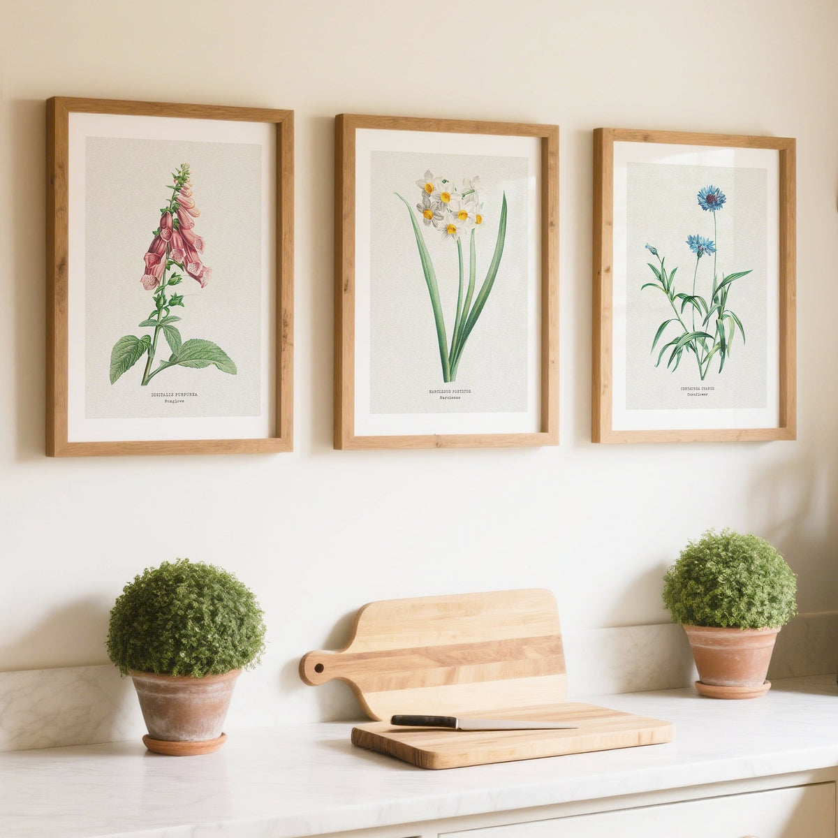 Set of 3 vintage flower prints on the wall in the kitchen. Kitchen with framed botanical prints on the wall, plants, and kitchen appliances. 