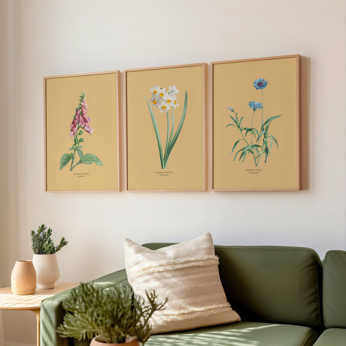 Set of 3 Vintage flower prints above sofa in living room. Three framed botanical prints above a green sofa with decorative plants.