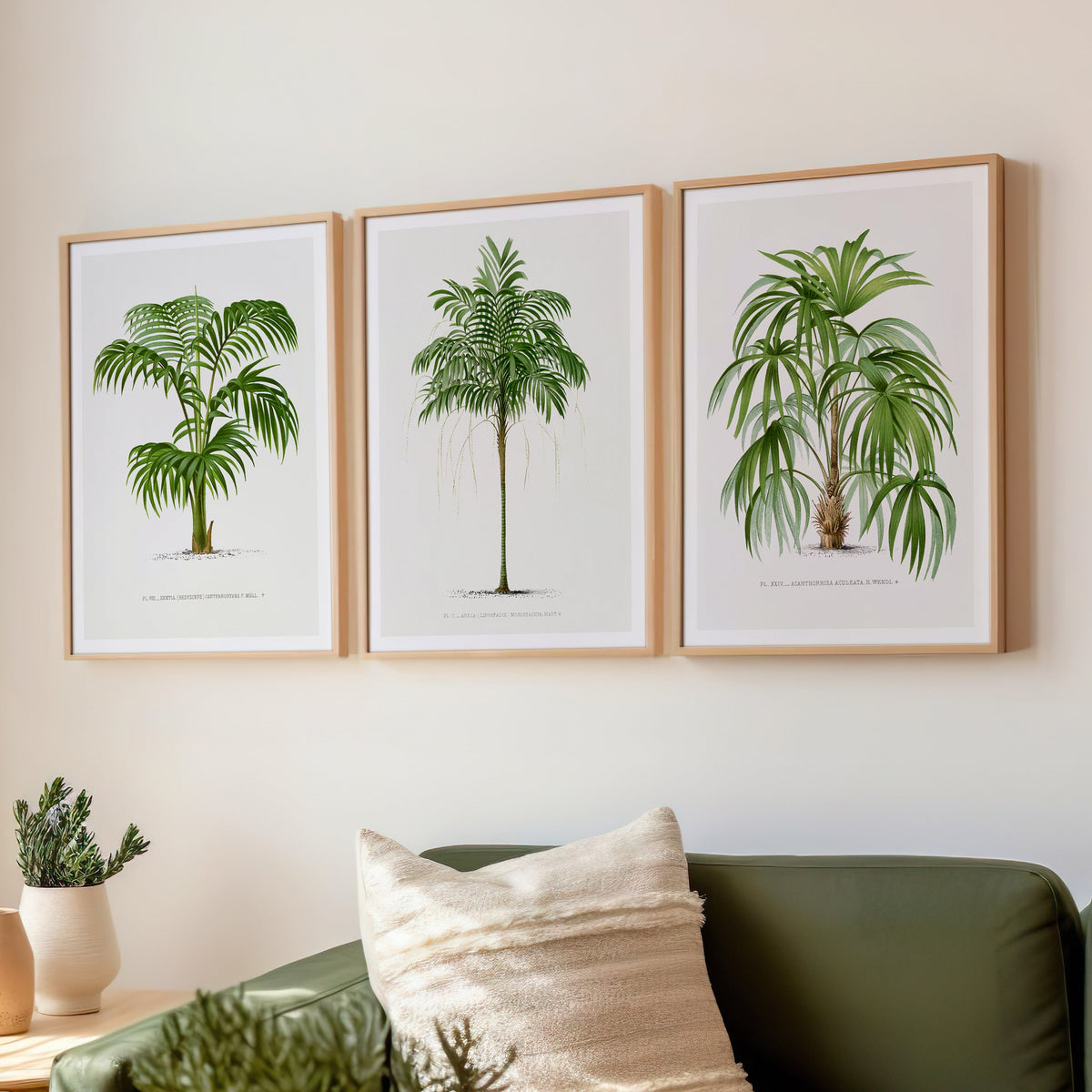 Set of 3 vintage palm prints. Living room with green sofa, potted plants, and framed palm tree prints on the wall.