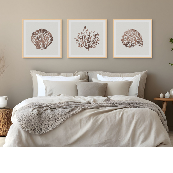 Set of Three Mocha Coral and Shell Art Prints  - Framed