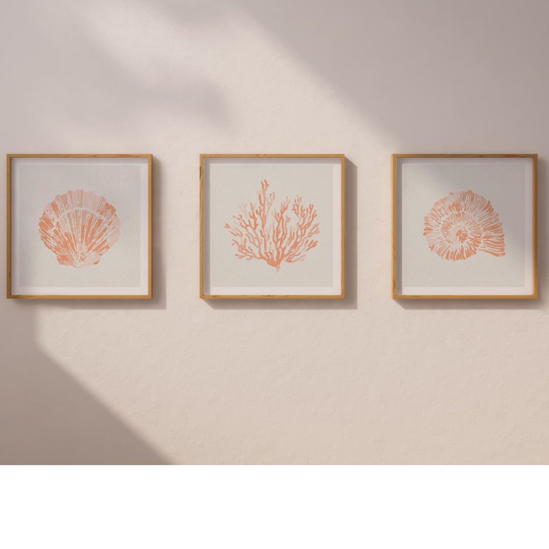 Set of Three Peach Coral and Shells Prints in  Peach - Unframed