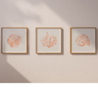 Set of Three Peach Coral and Shells Prints in  Peach - Unframed