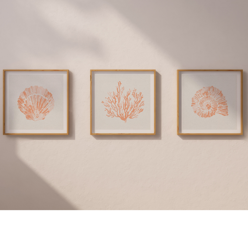 Set of Three Peach Coral and Shells Prints in  Peach - Unframed