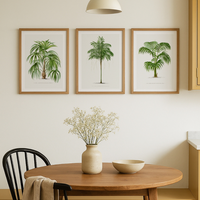 Set of Three Vintage Palm Tree Prints - Framed