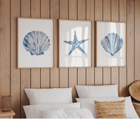 Set of Three Shell Paintings | Set of Shell Prints - Unframed