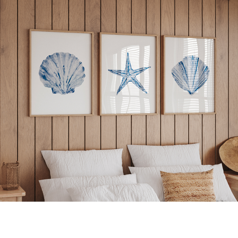 Set of Three Shell Paintings | Set of Shell Prints - Unframed
