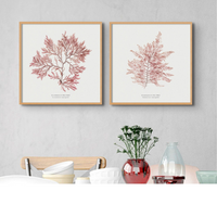 Set Of Two Square Pressed Seaweed Prints | Seaweed Art - Framed