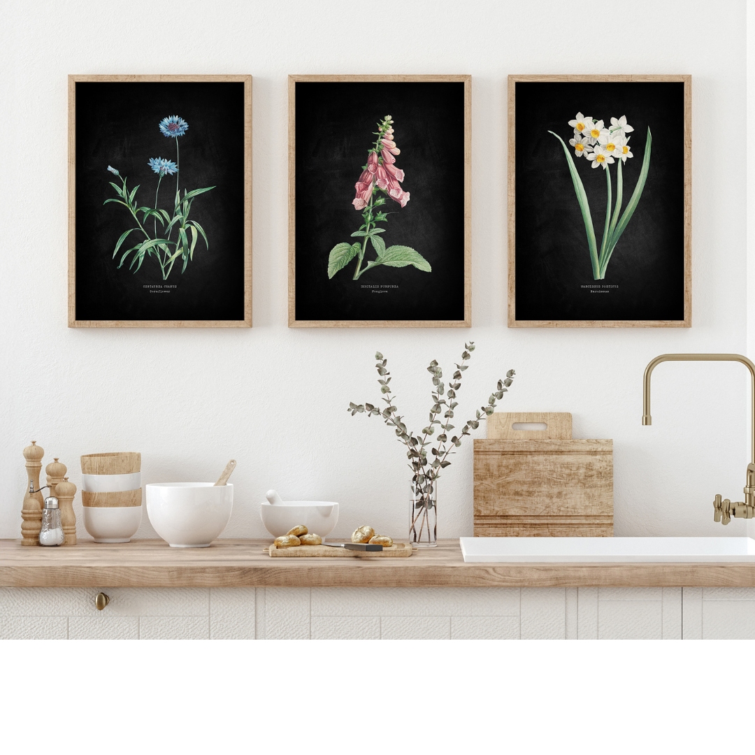Set of three framed botanical prints above a kitchen counter with decorative items.