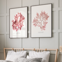Set of two pressed seaweed wall art prints in coastal neutral style - coastal botanical art prints