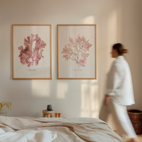 Set of two pressed seaweed prints in bedroom with woman walking.