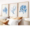 Set of 3 Indigo Seaweed Paintings - Unframed Beach House Art set of blue abstract line art prints