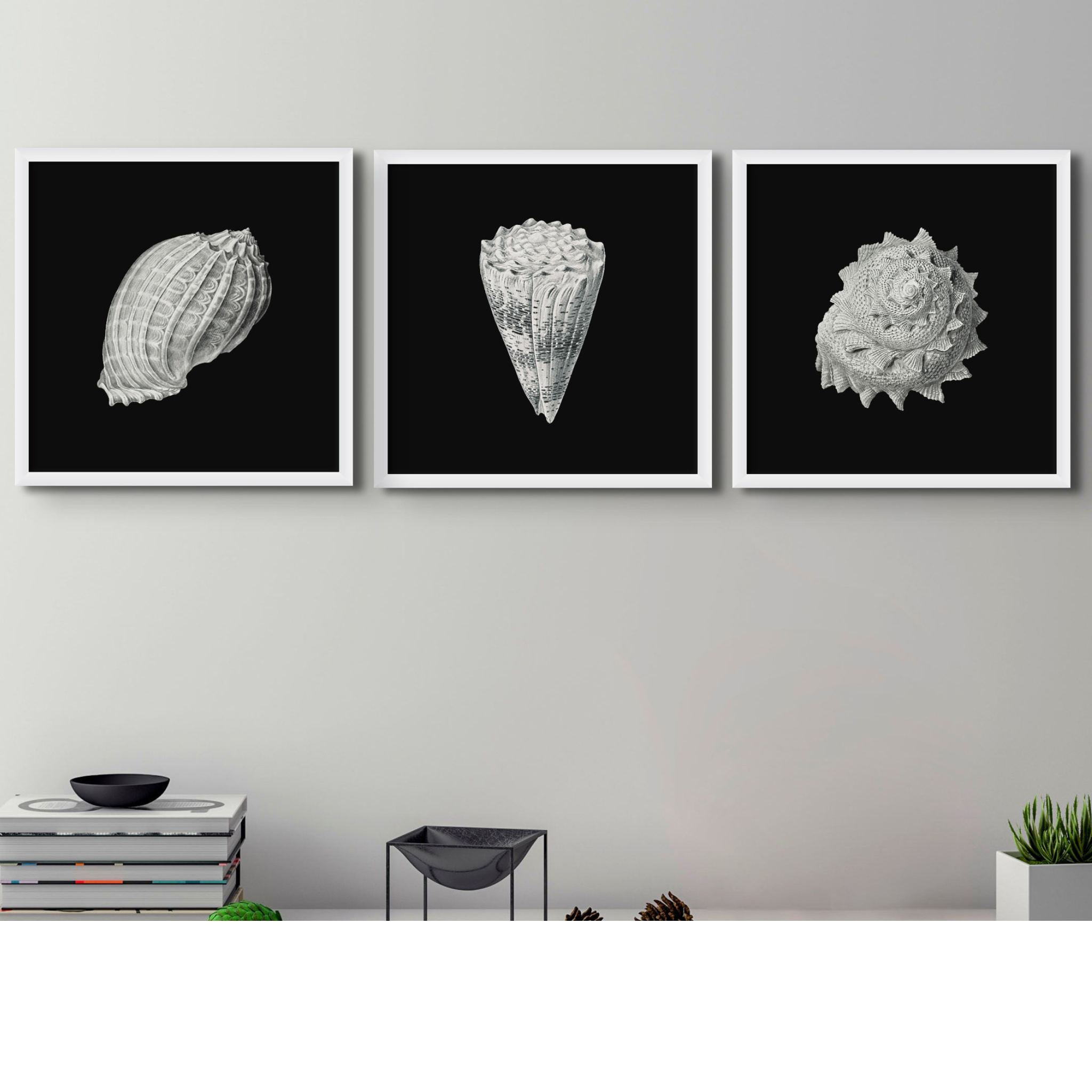 Shell Print Abstract Vintage Shell Prints – Set of 3 Coastal Wall Art With Black Background ...