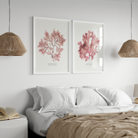 set of two red seaweed prints above a bed with boho lights - seaweed art prints