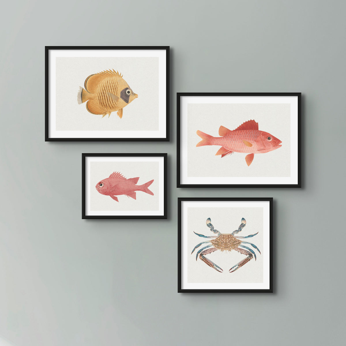 Vintage Fish Painting No. 3 | Fish Wall Art  - Framed