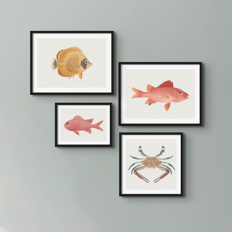 Vintage Fish Painting No. 3 | Fish Wall Art  - Framed