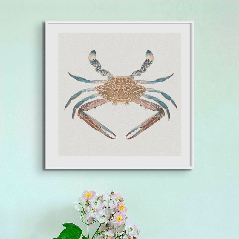 Vintage Crab Painting | Shellfish Wall Art Print - Framed