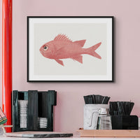 Vintage Fish Painting No. 3 | Fish Wall Art Print - Unframed