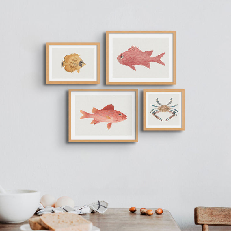 Vintage Fish Painting No. 3 | Fish Wall Art  - Framed