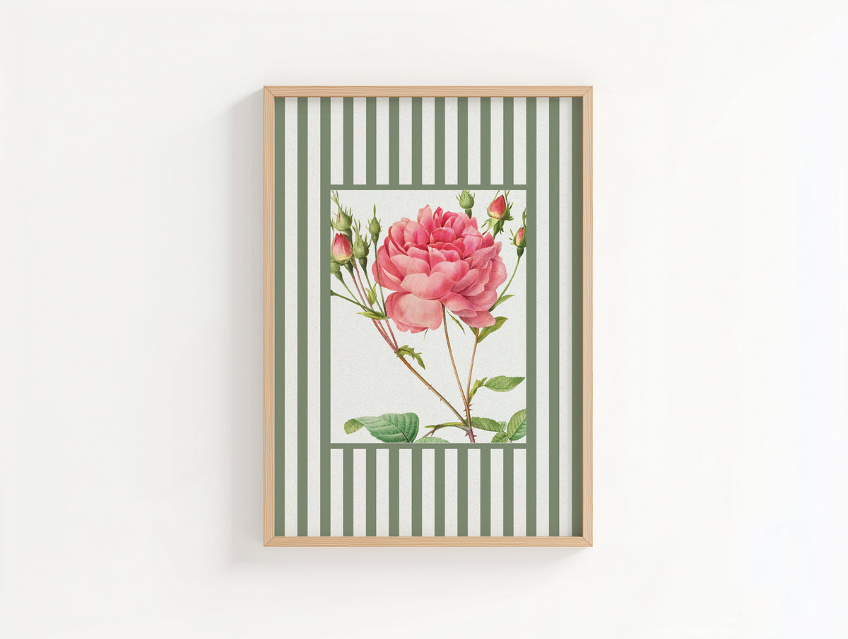 Vintage Rose 1 | Vintage Flower Art Print | Olive Green Stripe - Unframed