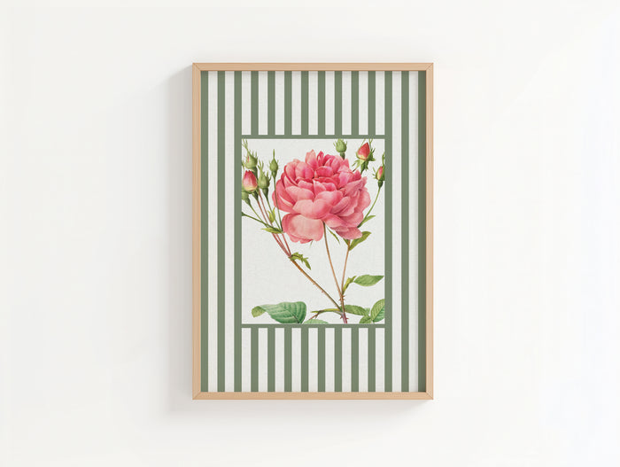 Vintage Rose 1 | Vintage Flower Art Print | Olive Green Stripe - Unframed