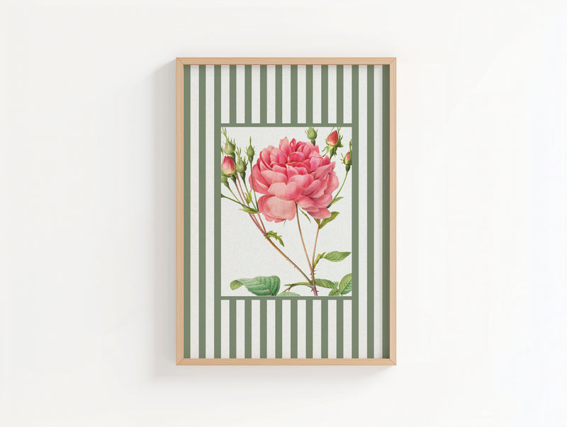 Vintage Rose 1 | Vintage Flower Art Print | Olive Green Stripe - Unframed