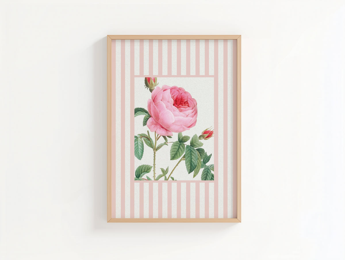 Vintage Rose 2 | Vintage Flower Art Print | Pink Stripe - Unframed