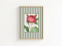 Vintage Rose 3 | Vintage Flower Art Print | Olive Green Stripe - Unframed