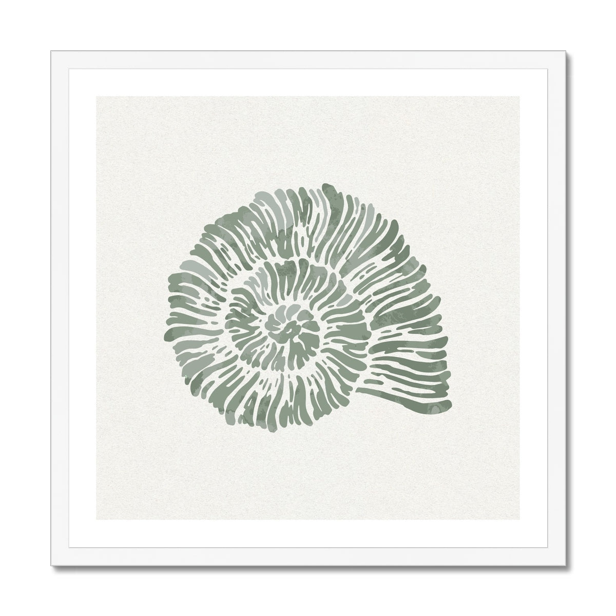 Sage Green Spiral Shell Art Print | Shell & Coral Art - Unframed