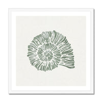 Sage Green Spiral Shell Art Print | Shell & Coral Art - Unframed