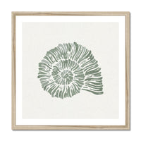 Sage Green Spiral Shell Art Print | Shell & Coral Art - Unframed