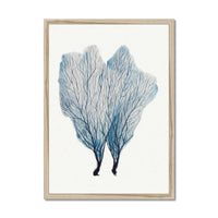 Sea Fan Watercolour Coral Painting | Coral Art | No 1 - Framed