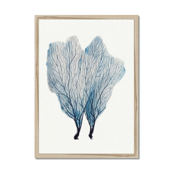 Sea Fan Watercolour Coral Painting | Coral Art | No 1 - Framed