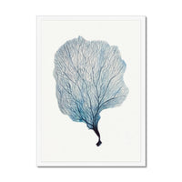 Sea Fan Watercolour Coral Painting | Coral Art | No 2 - Framed