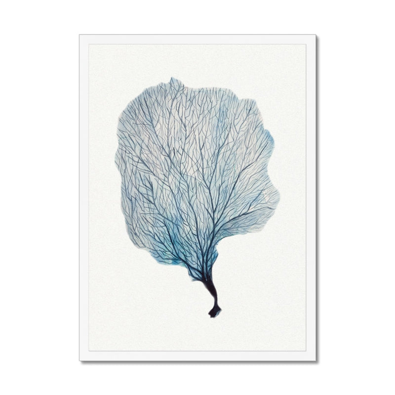 Sea Fan Watercolour Coral Painting | Coral Art | No 2 - Framed