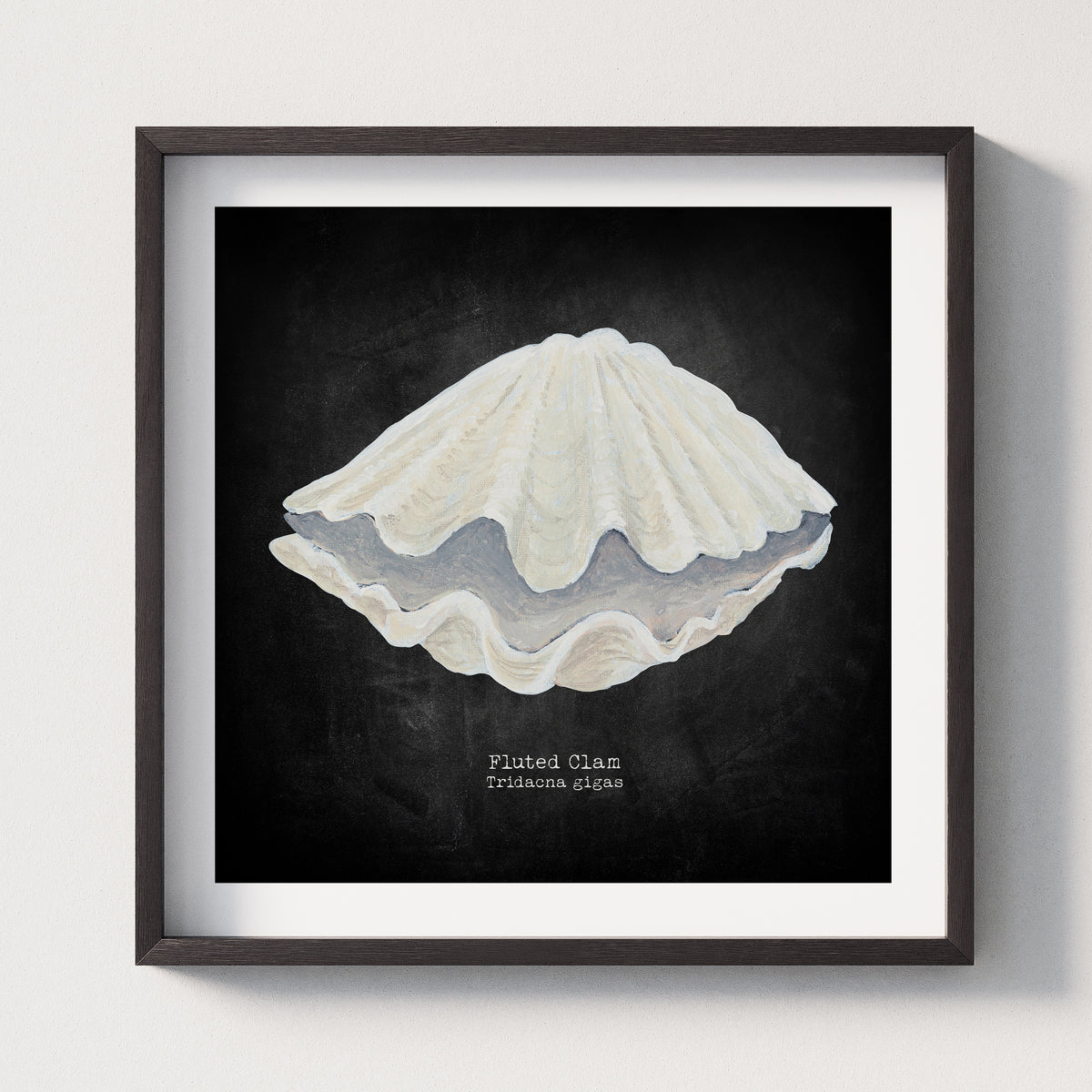 Hand-painted Clam Shell Art Print | Black Background - Framed